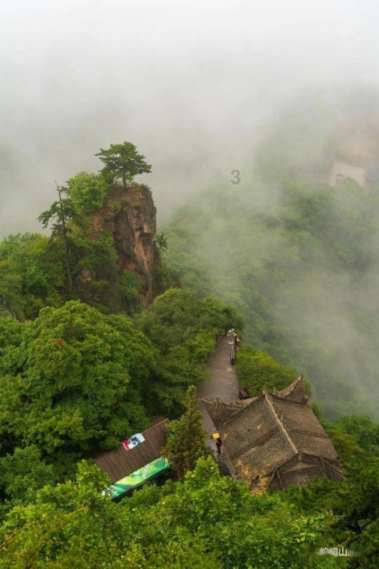 拯救精灵的土地9
