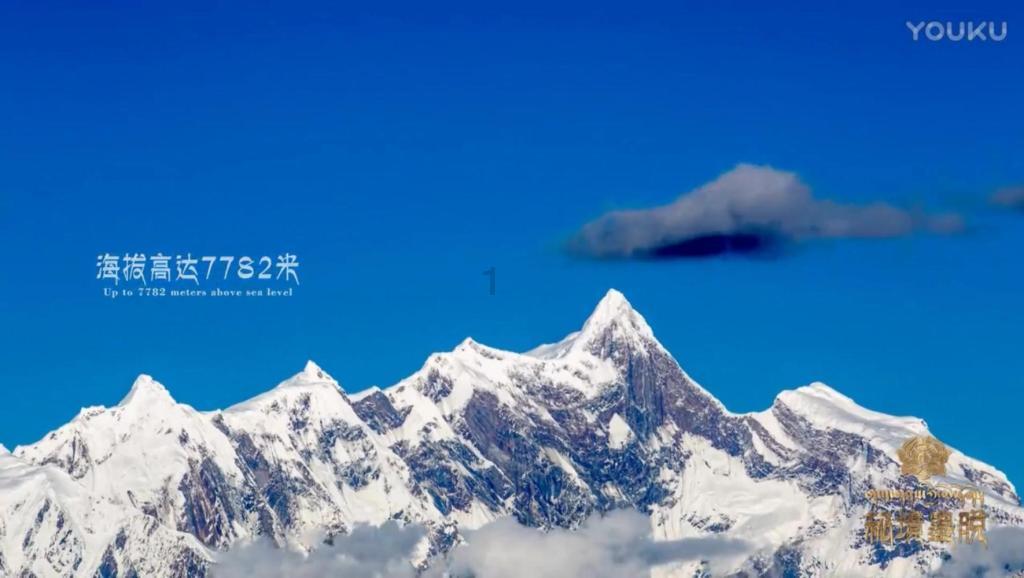 抢在拜登破局前，中方枪先一步，打出一“王炸”，美国害人反害己