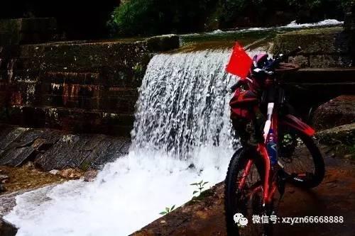 微结构化水凝胶-使用微结构基底进行 3D 细胞环境控制